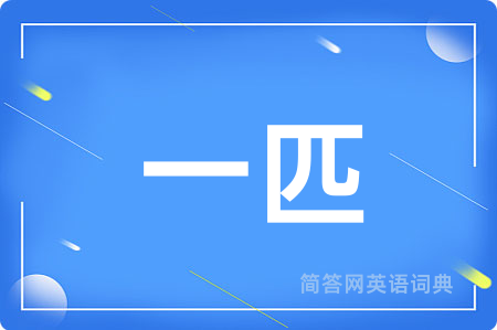 一匹用英语怎么说,一匹的英语翻译 一匹