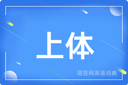 上体