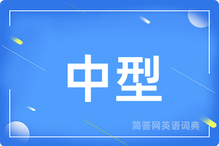 中型
