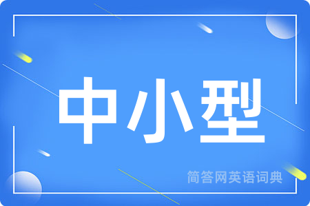 中小型