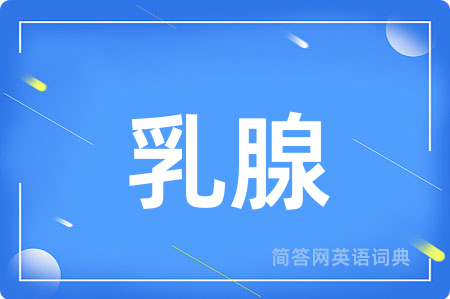 乳腺用英语怎么说,乳腺的英语翻译 乳腺