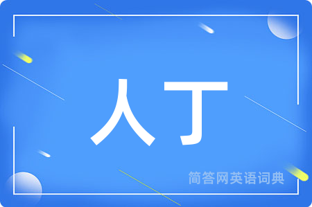 人丁
