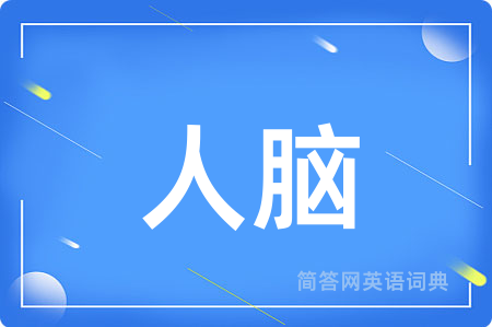 人脑