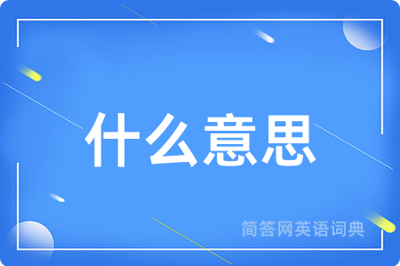 什么意思