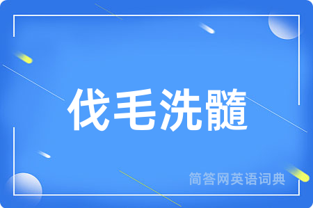 伐毛洗髓