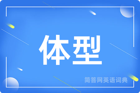 体型