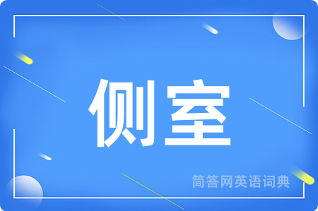 侧室用英语怎么说,侧室的英语翻译 侧室