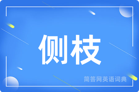 侧枝
