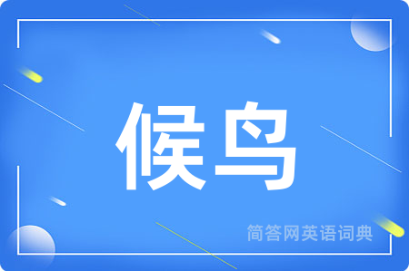 候鸟
