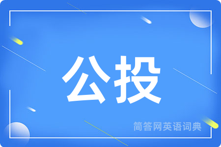 公投用英语怎么说,公投的英语翻译 公投