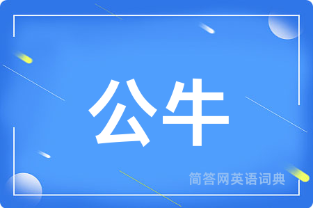 公牛用英语怎么说,公牛的英语翻译 公牛