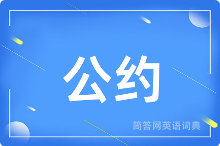 公约