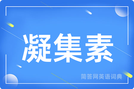 凝集素用英语怎么说,凝集素的英语翻译 凝集素