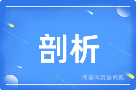 剖析