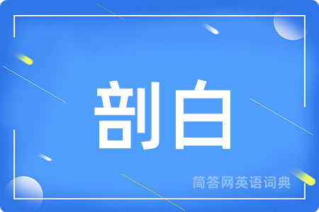 剖白