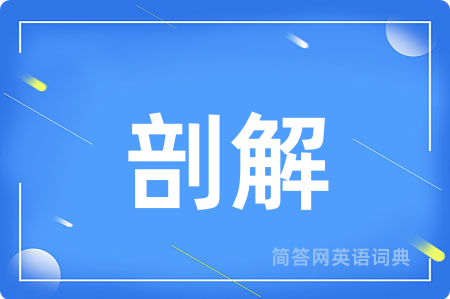 剖解