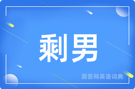 剩男用英语怎么说,剩男的英语翻译 剩男