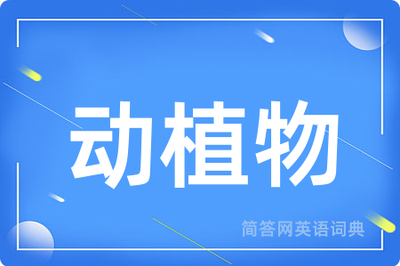 动植物