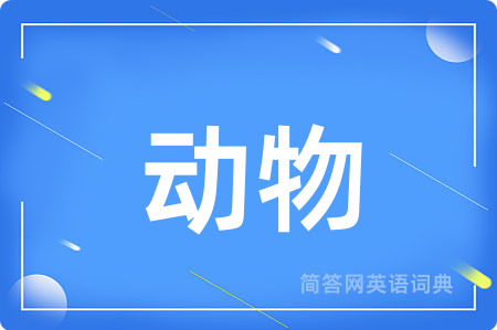 动物