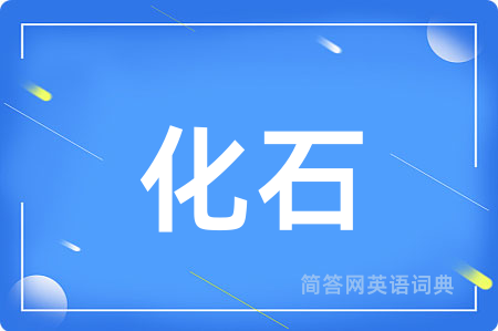 化石用英语怎么说,化石的英语翻译 化石