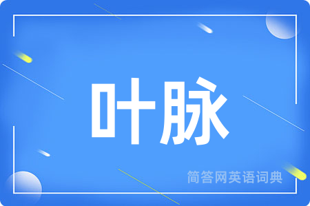 叶脉