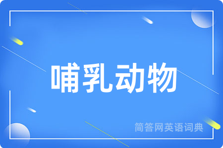 哺乳动物