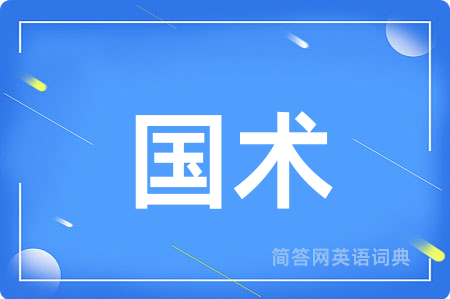 国术用英语怎么说,国术的英语翻译 国术