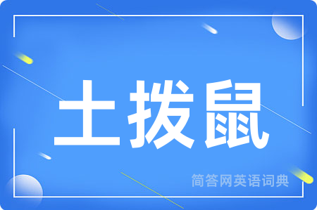 土拨鼠用英语怎么说,土拨鼠的英语翻译 土拨鼠