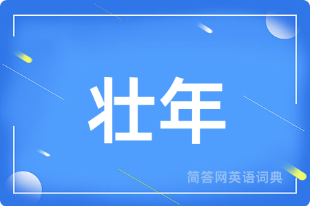 壮年