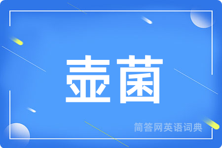 壶菌用英语怎么说,壶菌的英语翻译 壶菌
