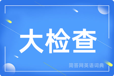 大检查