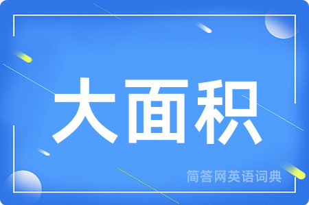 大面积
