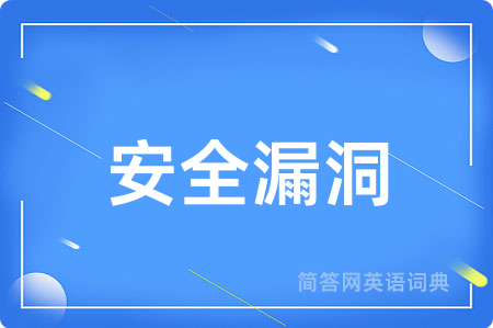 安全漏洞