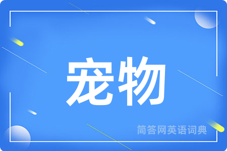 宠物用英语怎么说,宠物的英语翻译 宠物