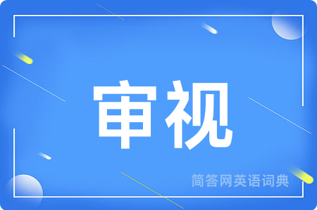 审视