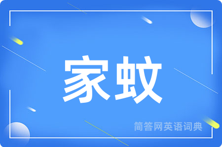 家蚊