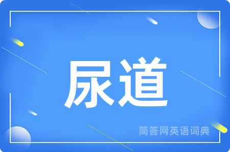 尿道