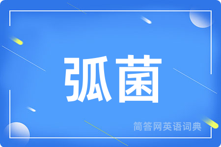 弧菌用英语怎么说,弧菌的英语翻译 弧菌
