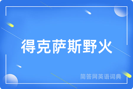 得克萨斯野火