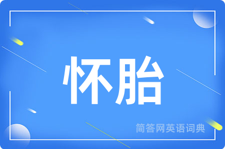 怀胎用英语怎么说,怀胎的英语翻译 怀胎