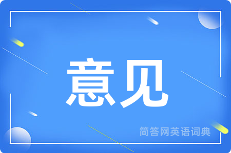 意见