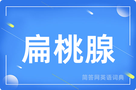 扁桃腺