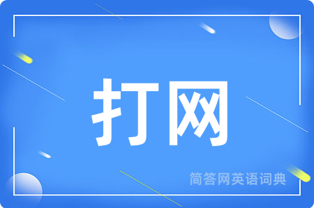 打网用英语怎么说,打网的英语翻译 打网