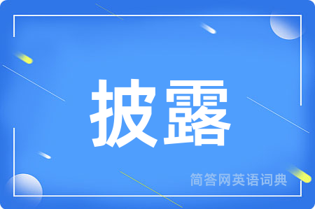 披露