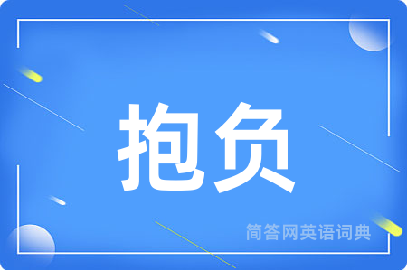 抱负