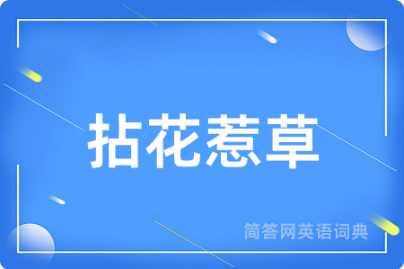 拈花惹草