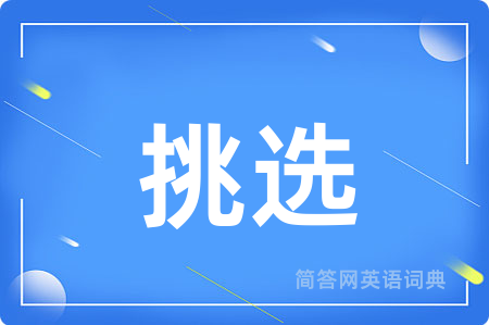 挑选