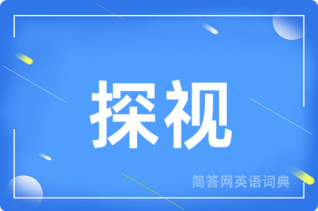 探视