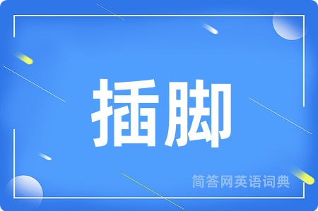 插脚