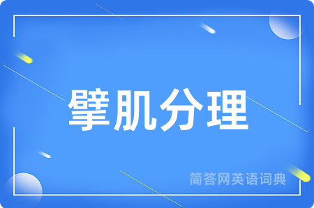 擘肌分理